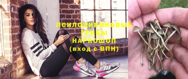 молекула духа Алзамай