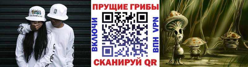Псилоцибиновые грибы MAGIC MUSHROOMS  Купить закладки  Солнечногорск 